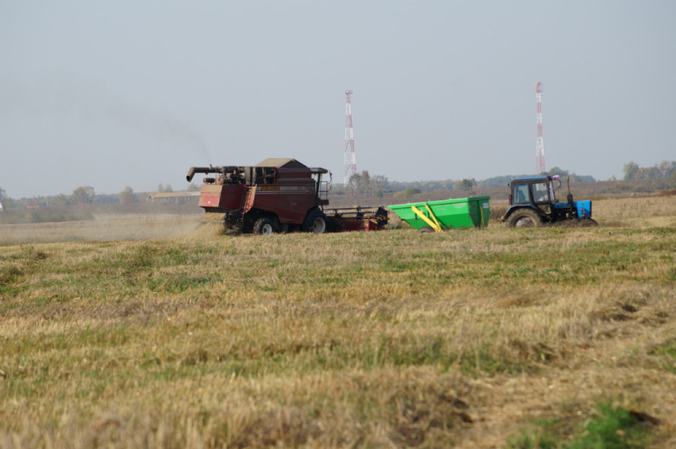 В Дивеевском районе продолжается уборка урожая