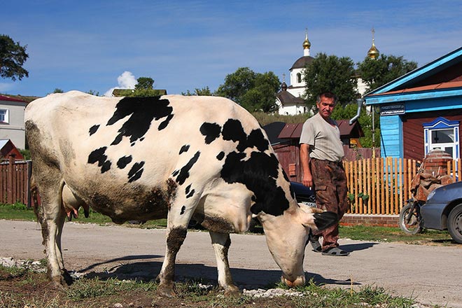 Дивеевский районный суд защитил права будущего фермера