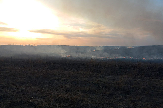 Нижегородцев предостерегли от выжигания сухой травы на участках